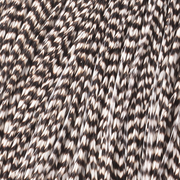 Capa de plumas del cuello de gallo Metz #2