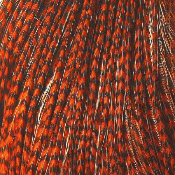 Hareline medio cuello de plumas