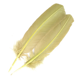FFGene Plumas de ala de pavo