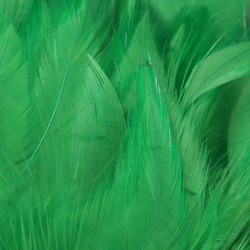 FFGene Plumas de colgadera en ristra
