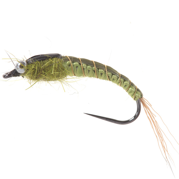 PL Wowen Stonefly Oliva