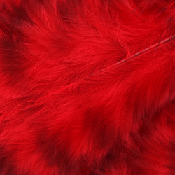 Hareline Grizzly plumas para hackle blando