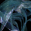 UV Blue