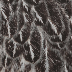 Parche de colgadera de gallina Wapsi para moscas de pluma blanda