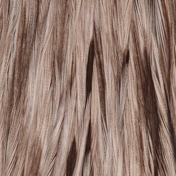 FFGene Howard Hackle cuello de plumas de gallo #3