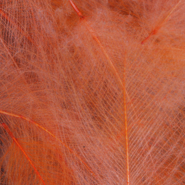 FFGene Paquete Jambo de plumas CDC teñidas - 1 gr
