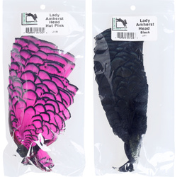 Hareline plumas de la cabeza de faisán de Lady Amherst