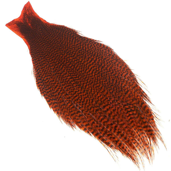 Cuello entero de gallo Ewing Grizzly