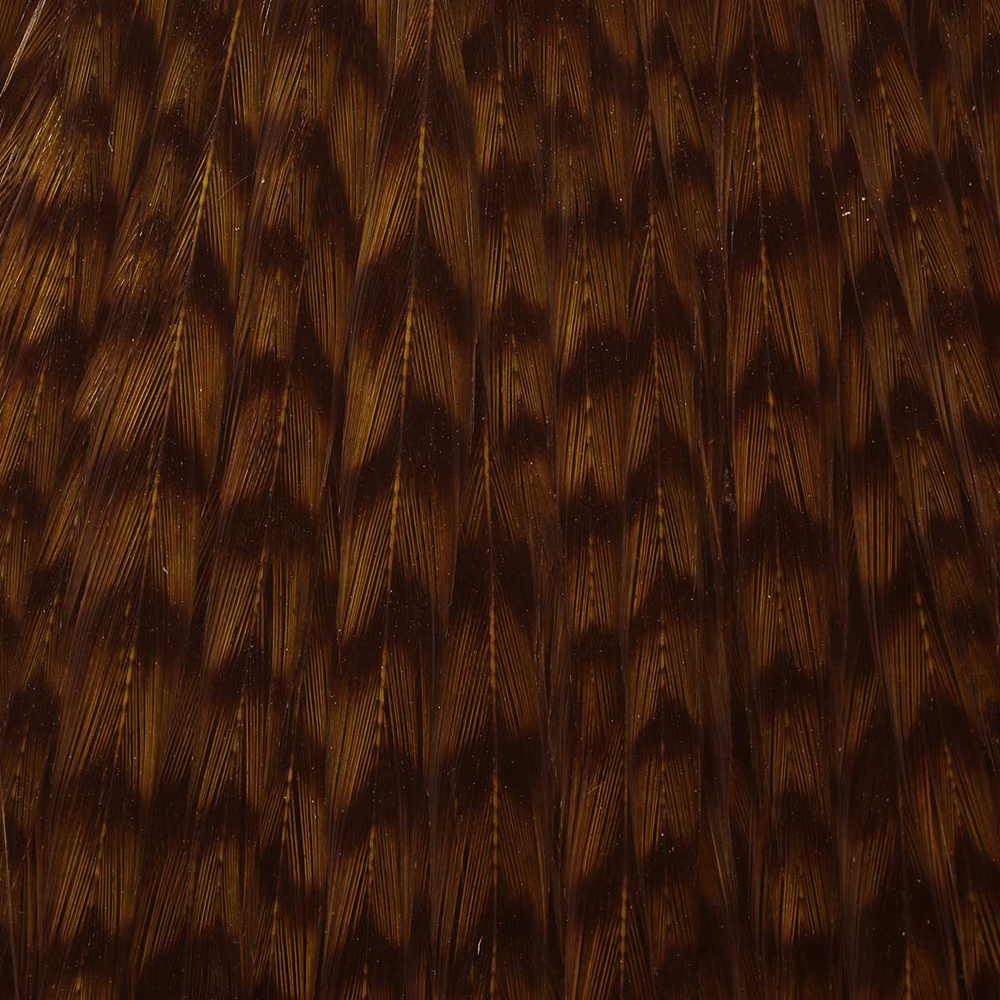 Over Grizzly - Brown