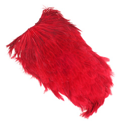 Colgadera de gallina teñida FFGene India