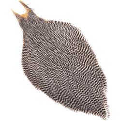 Wapsi Metz Magnum cuello de plumas