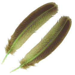 FFGene Plumas de ala de pavo moteadas