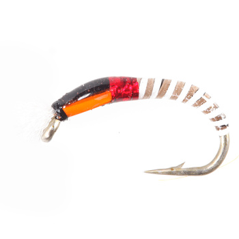 Zumbador Cuerpo de cristal Blanco Tan