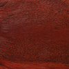 Rust