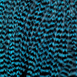 Ewing Grizzly Whole Saddles