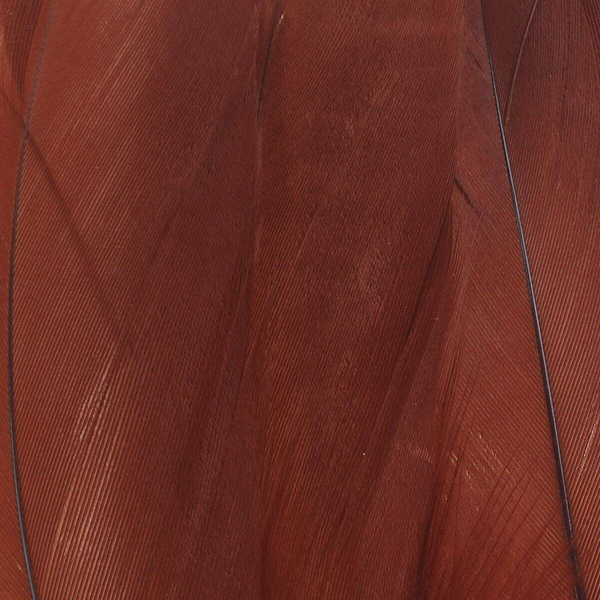 FFGene Plumas escapulares de ganso