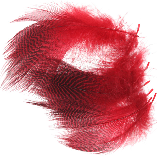 Wapsi plumas barradas del flanco de cerceta