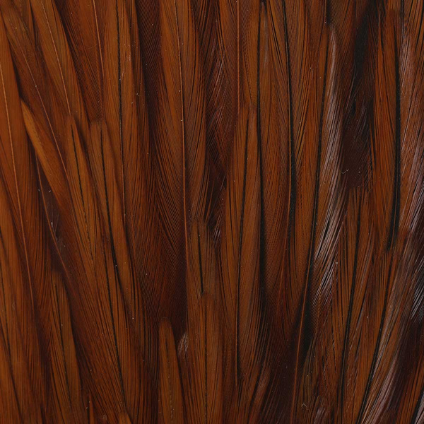 Colgadera de gallo FFGene India