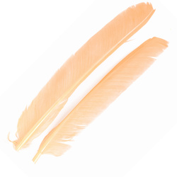 FFGene Biots de pluma de pavo