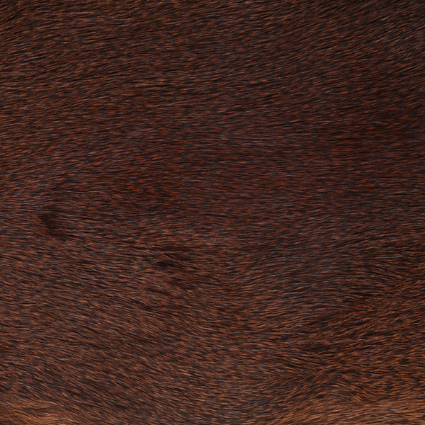 Wapsi Whole Pine Squirrel Skin