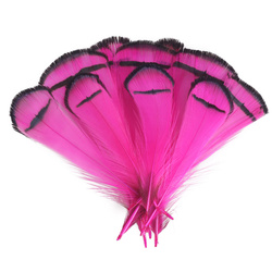 FFGene Plumas del cuello de faisán de Lady Amherst