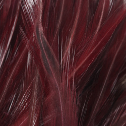 FFGene Plumas de colgadera en ristra