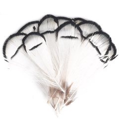 FFGene Plumas del cuello de faisán de Lady Amherst