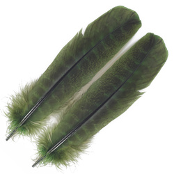 FFGene Plumas de ala de pavo Ozark
