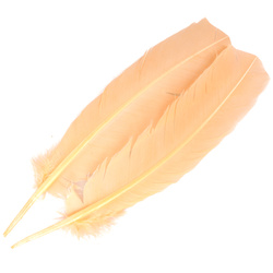 FFGene Plumas de ala de pavo