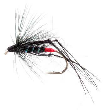 Bristol Hopper Negro Rojo