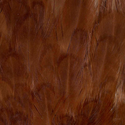 Colgadera de gallina FFGene India