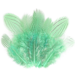 FFGene Plumas de faisán plateado