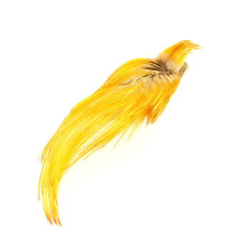 Wapsi Plumas de la cresta de faisán dorado