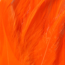 FFGene Plumas de colgadera en ristra