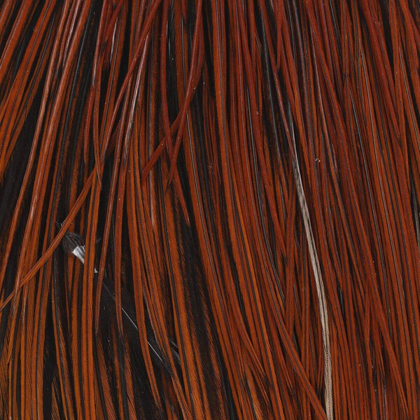 Capa de plumas del cuello de gallo Whiting Hebert Bronze