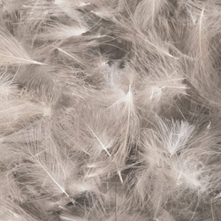 FFGene Plumas de CDC Premium - Natural 1 gram