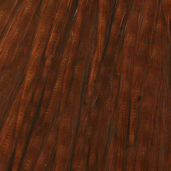 Sección Sweet Spot teñida del cuello de gallo Ewing
