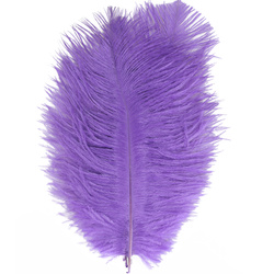 FFGene Plumas de avestruz para hackle