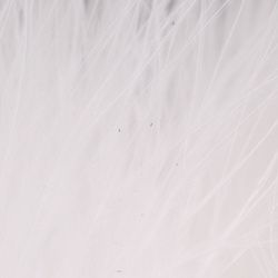 Marabú FFGene Wooly Bugger Blood Quill (7-10 cm)