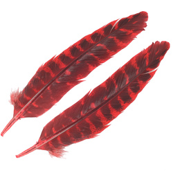 FFGene Plumas de ala de pavo Ozark