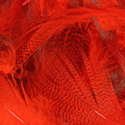 Hareline Plumas del flanco de ánade real