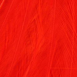 Capa de plumas del cuello de gallo chino para streamers Wapsi