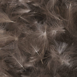 FFGene Plumas de CDC Premium - Natural 1 gram