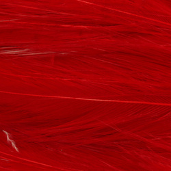 Hareline Hackle de cuello para moscas de agua salada