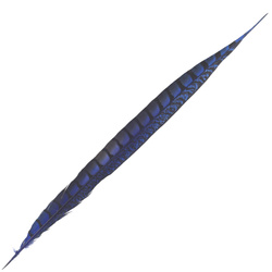 FFGene Plumas de cola de faisán de Lady Amherst