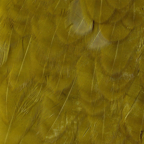 Parche de colgadera de gallina Wapsi