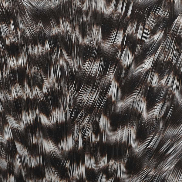 Colgadera de gallina Wapsi Grizzly