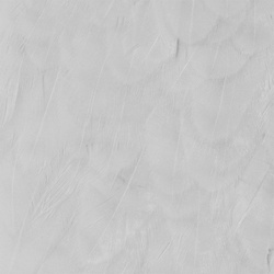 Wapsi Hen Saddle Patches