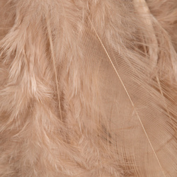 Wapsi plumas para hackle blando Matuka White