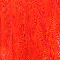 Capa de plumas del cuello de gallo chino para streamers Wapsi